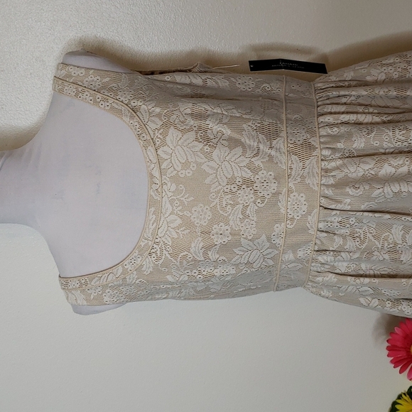 NEW Tahari Arthur S. Levine McNally Dress Gilded Coast Fit & Flare Designer Chic - Picture 3 of 12